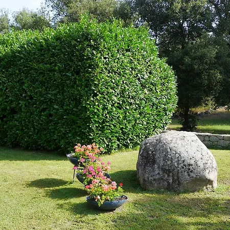 U Palazzu - Demeure De Charme Au Centre De La Corse * Корт