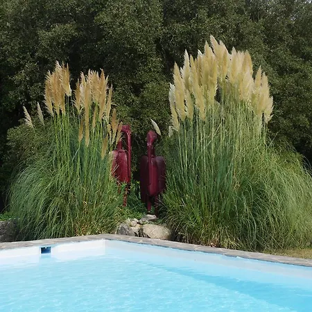 Vila U Palazzu - Demeure De Charme Au Centre De La Corse