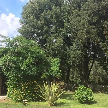 U Palazzu - Demeure De Charme Au Centre De La Corse Vila